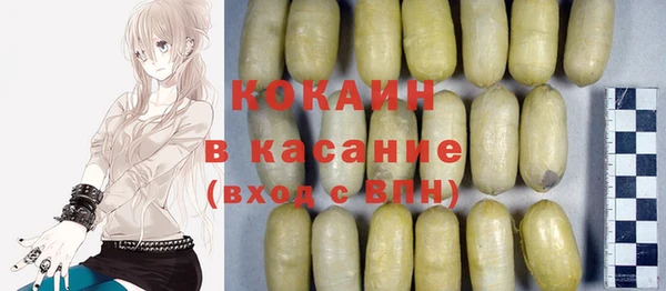твердый Михайлов