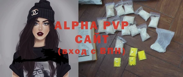 индика Кадников