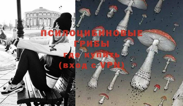 твердый Михайлов