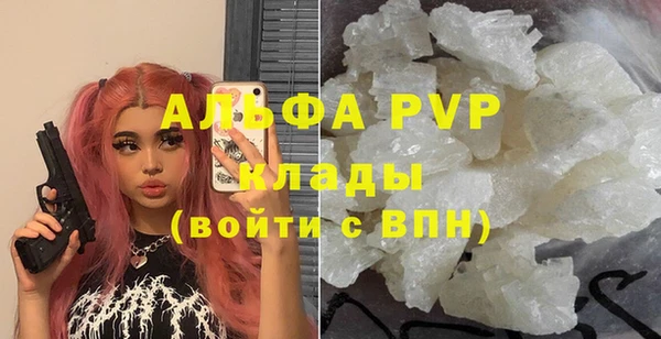 индика Кадников